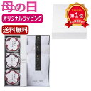 \楽天1位/ 母の日 梅干しセット 母の日 プレゼント 【送料無料】 【母の日】Premium 紀州南高梅&日本茶セットE 梅干しセット オーシャンテール 母の...