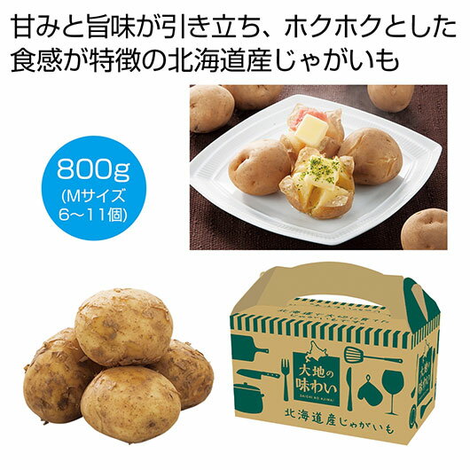 【クーポン有】 お歳暮 冬ギフト じゃがいも ギフト じゃがいも 【送料無料】 大地の味わい 北海道産じゃがいも（男爵）800g【24個単位】 じゃがいも ギフト じゃがいも 700円 人気 600円台 敬老会 プレゼント イベント 国産 セ