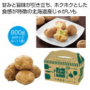 【クーポン有】 お歳暮 冬ギフト じゃがいも ギフト じゃがいも 【送料無料】 大地の味わい 北海道産じゃがいも(男爵)800g【24個単位】 じゃがいも ギフ...