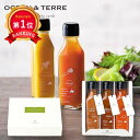 \楽天1位/ お歳暮 冬ギフト ドレッシングセット お歳暮 ギフト 北海道 野菜ドレッシングセットB ドレッシングセット オーシャンテール 御歳暮 冬ギフト 結...