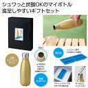 【43%OFF】 販促品 タンブラー 【送料無料】 シュワっと爽快 炭酸ステンレスボトルセット タンブラー 販促品 激安 タンブラー 1500円 人気 1000...