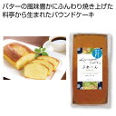 プチギフト お菓子 おしゃれ 【送料無料】 金澤ケーキ ぷれーん【30個単位】 フィナンシェ プチギフト お菓子 ギフト フィナンシェ 900円 人気 900円...