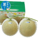 お中元 グルメ お中元 夏ギフト 【送料無料】 マスクメロン(2玉) お中元 夏ギフト お中元 夏ギフト 御中元 お返し お礼 ギフトセット お菓子 詰め合わせ...