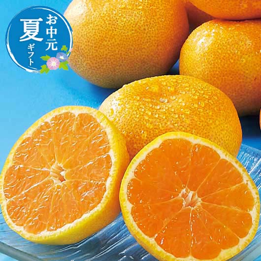 お中元 グルメ お中元 夏ギフト 【送料無料】 佐賀県産 JAグループ佐賀 温室みかん(1kg) お中元 ギフト お中元 夏ギフト 御中元 お返し お礼 ギフト...