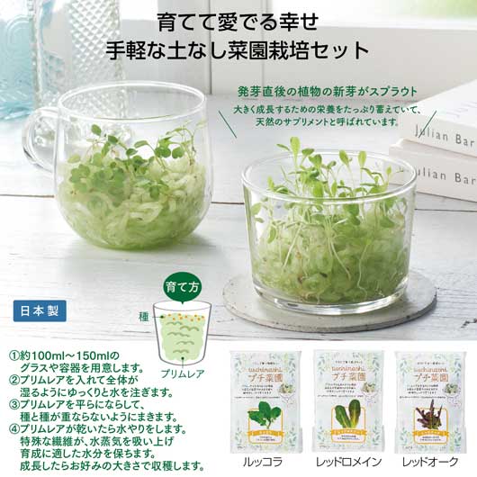 【44%OFF】 プチギフト 種子栽培セット 【あす楽】 tuchinashiプチ菜園 種子栽培セット 即納 プチギフト 激安 種子栽培セット 300円 人気 300円台 敬老会 プレゼント イベント セール sale