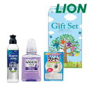 販促品 洗剤 〈LION〉ナノ洗浄洗剤ギフト 15B 洗剤 結婚内祝 出産 快気内祝 新築内祝 法事 志 ギフト 香典返し ウィルス対策 予防グッズ 衛生用品 ...