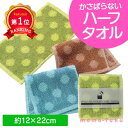 ＼楽天1位／【30%OFF】 プチギフト 退職 タオル 【あす楽】 かさばらないハーフハンカチタオル タオル プチギフト 退職 大量 産休 入学 記念品 景品 入園 プレゼント 入学 PTA 保護者会 即納 プチギフト 激安 タオ