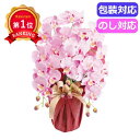 \楽天1位/ お歳暮 冬ギフト ギフト 造花 【送料無料】 SC触媒加工 プラチナ胡蝶蘭(アーティフィシャルフラワー) ラベンダー HCA2−LV&...