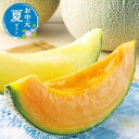 【クーポン有】 お中元 果物セット お中元 夏ギフト 【送料無料】 北海道赤肉・青肉メロン詰合せ 果物セット お中元 夏ギフト 御中元 お返し お礼 ギフトセッ...