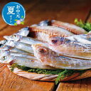 【クーポン有】 お中元 魚介類セット お中元 夏ギフト 山陰海鮮一夜干しセット 魚介類セット お中元 夏ギフト 御中元 お返し お礼 ギフトセット お菓子 詰め...