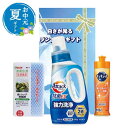 【クーポン有】 お中元 お中元 夏ギフト 白さが光るランドリーギフト 洗濯用洗剤 結婚内祝 出産 快気内祝 新築内祝 法事 志 ギフト 香典返し お中元 夏ギフ...
