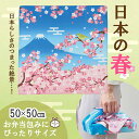 【クーポン有】 販促品 弁当袋・ランチバッグ 【送料無料】 さくらさく ふろしき 弁当袋・ランチバッグ 敬老会 プレゼント デイサービス 販促品 弁当袋・ランチ...