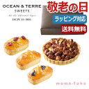  母の日 プレゼント   ヘーゼルナッツキャラメルタルト＆フリュイ パウンドケーキセット オーシャンテール プチギフト お菓子 母の日ギフト 敬老会 プレゼント デイ