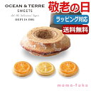 【10%OFF】 母の日 ギフト お菓子 父の日 プレゼント 【送料無料】 【敬老の日】【早割】 バームクーヘン＆オレンジ・レモンクッキー バウムクーヘン オーシャンテール プチギフト お菓子 母の日ギフト 敬老会 プレゼント デ