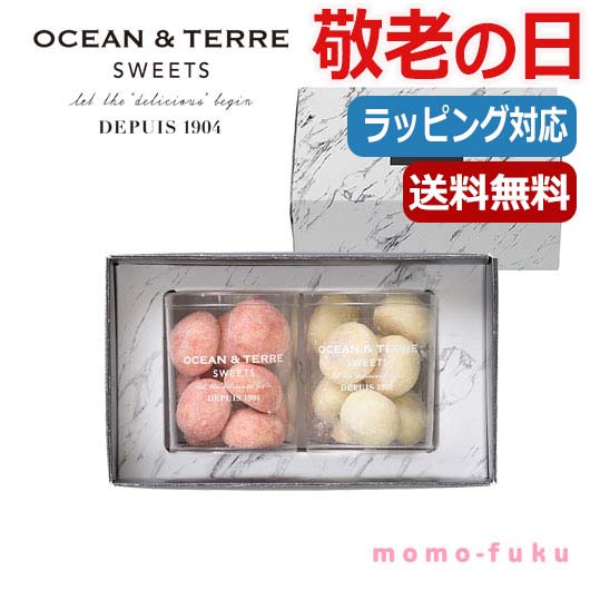 父の日 プレゼント 【送料無料】 【父の日】 ブールド・ネージュ　セットA 焼き菓子 セット オーシャンテール プチギフト お菓子 父の日 ギフト 敬老会 プレゼント デイサービス 父の日 ギフト 焼き菓子 セット 2000円