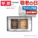 【10%OFF】 内祝 ギフト お菓子 父の日 プレゼント 【送料無料】 【敬老の日】【早割】 クッキースイーツ　セットB　 クッキー セット オーシャンテール プチギフト お菓子 敬老会 プレゼント デイサービス 敬老の日 ギフ