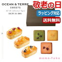 【10%OFF】 内祝 ギフト お菓子 父の日 プレゼント 【送料無料】 【敬老の日】【早割】 Cafe　フィナンシェ＆フリュイ 焼き菓子 セット オーシャンテール プチギフト お菓子 敬老会 プレゼント デイサービス 敬老の日