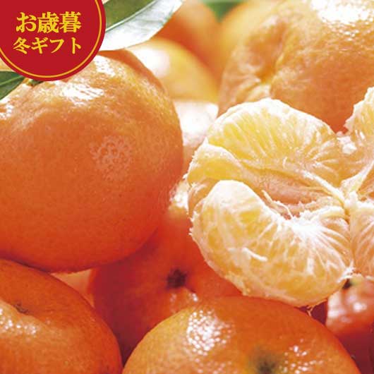【クーポン有】 お歳暮 冬ギフト みかん お歳暮 冬ギフト 【送料無料】 ダイワ果園 愛媛県産 みなのみかん みかん 御歳暮 冬ギフト 結婚 出産 内祝い 香典...