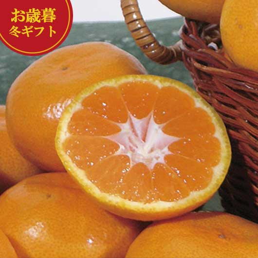 ڥݥͭ  ߥե ߤ  ߥե ̵ ̱ ²λ ¼îߤ ߤ  ߥե 뺧 л ˤ ...