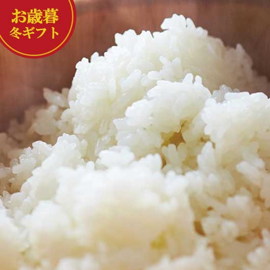 ڥݥͭ  ߥե   ߥե ̵  㲹ˡ ɹ? 㻺ҤǽŶ   ߥե ...