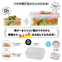 【33%OFF】 販促品 保存容器 【あす楽】 容量以上!伸びる蓋付き保存容器ラージ 保存容器 即納 販促品 激安 保存容器 600円 人気 500円台 敬老会...