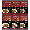 母の日 カレー ギフト カレー 【送料無料】 飛騨高山ファクトリー 松阪牛・近江牛・飛騨牛仕込みハンバーグ&カレー詰合せ カレー ギフト カレー 6000円 人...