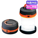 【クーポン有】 防災グッズ 飛び出せ!ランタン 37285 懐中電灯 防災グッズ セット 防災訓練 ギフト 懐中電灯 1500円 人気 1000円台 敬老会 ...