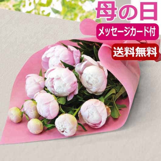 内祝 ギフト 母の日 プレゼント 【送料無料】 シャクヤクの花束 花束 母の日ギフト 母の日 プレゼント 花束 8000円 人気 7000円台 敬老会 プレゼント イベント セール sale