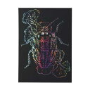 ホビー 図工・工作 【送料無料】 ホログラムスクラッチボード 150×200mm 図工・工作 テレワーク 在宅 ホビー 退職 産休 ありがとう ホビー 図工・工作 500円 人気 400円台 敬老会 プレゼント イベント セール sale