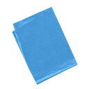【10%OFF】 ホビー 図工・工作 【送料無料】 水色 カラービニール袋(10枚組) 図工・工作 テレワーク 在宅 ホビー 退職 産休 ありがとう ホビー 図...