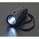 防災グッズ ラジオdeライト 懐中電灯 防災グッズ セット 防災訓練 販促品 懐中電灯 4000円 人気 3000円台 敬老会 プレゼント イベント セール s...