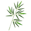 【12%OFF】 ホビー 七夕 七夕笹 ミニサイズ 七夕 ホビー 激安 七夕 200円 人気 200円台 敬老会 プレゼント イベント セール sale