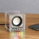 ホビー 図工・工作 【送料無料】 らくらく組立 スケルトンBTスピーカー 図工・工作 テレワーク 在宅 ホビー 退職 産休 ありがとう ホビー 図工・工作 4000円 人気 4000円台 敬老会 プレゼント イベント セール sale