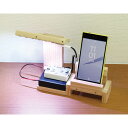 【10%OFF】 防災グッズ 【送料無料】 木工プログラミングLEDライト 懐中電灯 防災グッズ セット 防災訓練 販促品 懐中電灯 6000円 人気 6000...