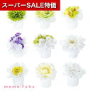 【クーポン有】【10%OFF】 プチギフト お菓子 300円 ブラン・ブラン 単品 ドラジェ プチギフト お菓子 プチギフト ドラジェ 300円 人気 200円...