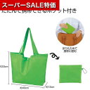 【クーポン有】【36%OFF】 エコバッグ 折りたたみ コンパクト 【送料無料】 Ecolor 折りたたみビッグバッグ(グリーン) エコバッグ 販促品 激安 エ...