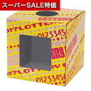 【クーポン有】【20%OFF】 販促品 抽選箱・抽選器 【送料無料】 窓付抽選箱(大) 抽選箱・抽選器 販促品 激安 抽選箱・抽選器 1500円 人気 1000...