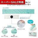 【クーポン有】【31%OFF】 販促品 冷却グッズ 【あす楽】 首巻き氷のうアイスクーラー 冷却グッズ 熱中症対策グッズ 建設業 農作業 暑さ対策 冷感 即納 販促品 激安 冷却グッズ 900円 人気 900円台 敬老会 プレゼント イベント