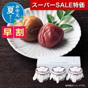 【クーポン有】【9%OFF】 お中元 梅干しセット お中元 夏ギフト 【送料無料】 【お中元】Premium 紀州南高梅セットD 梅干しセット オーシャンテール 敬老会 プレゼント デイサービス お中元 梅干しセット 3000円
