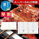 【クーポン有】【10%OFF】 お中元 炊き込みご飯の素 お中元 夏ギフト 【送料無料】 【お中元】炊き込みご飯の素セットA 炊き込みご飯の素 オーシャンテール 敬老会 プレゼント デイサービス お中元 炊き込みご飯の素 2000
