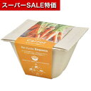 【クーポン有】【11%OFF】 販促品 栽培セット 【あす楽】 バガスグリーン ミニキャロット 栽培セット 即納 販促品 激安 栽培セット 600円 人気 50...
