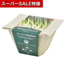 【4日20時〜スーパーSALE】【11%OFF】 販促品 栽培セット 【あす楽】 バガスグリーン ネギ 栽培セット 即納 販促品 激安 栽培セット 600円 人...