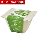 【クーポン有】【20%OFF】 販促品 栽培セット 【あす楽】 バガスグリーン サラダホウレンソウ 栽培セット 即納 販促品 激安 栽培セット 500円 人気 ...