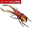 【クーポン有】【10%OFF】 販促品 知育パズル 【送料無料】 パズルDEフィギュア インセクト 1個 知育パズル 販促品 知育パズル 700円 人気 700円台 敬老会 プレゼント イベント セール sale