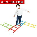 【クーポン有】【10%OFF】 ホビー おもちゃ 【送料無料】 EVAジョイントラダー 4色8本組 おもちゃ ホビー おもちゃ 8000円 人気 8000円台 敬老会 プレゼント イベント セール sale