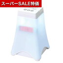 【クーポン有】【10%OFF】 防災グッズ 【送料無料】 プログラミングLEDランタン(組立済) ランタン 防災グッズ セット 防災訓練 販促品 ランタン 40...