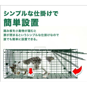 39ショップ買いまわり中ポイント最大7倍！★動物捕獲器 Lサイズ アニマルトラップ 野良猫 迷子猫 小動物保護 実獣被害（動物捕獲器L）