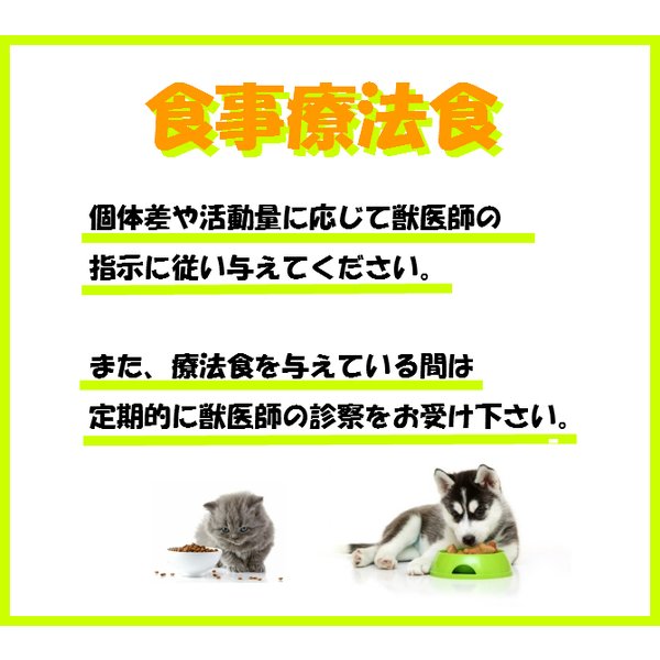 ロイヤルカナン 猫用 腎臓サポート フィッシュテイスト パウチ 85g×1袋 送料無料（ポスト投函便）