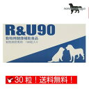  R&U90 p 10~3V[g (30) i|Xgցj