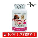 共立製薬 プロモーション420 猫・小型犬用 お試し 体重1kg〜4kg 1日1粒 10日分 (10粒) 送料無料(ポスト投函便)